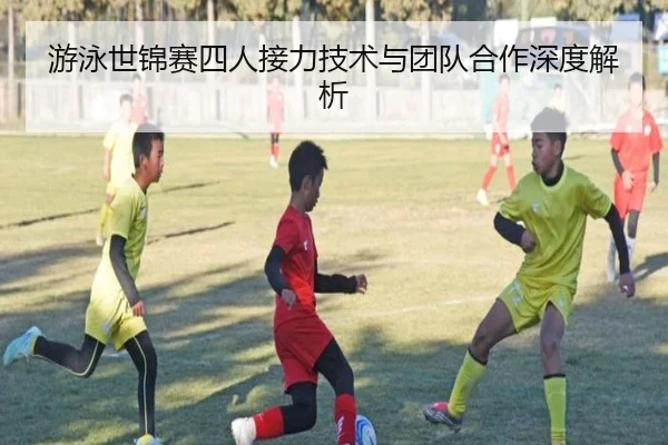 游泳世锦赛四人接力技术与团队合作深度解析